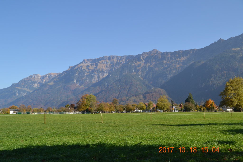 DSC_0973 DSC_0973