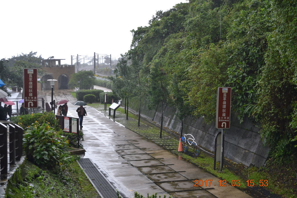 DSC_0181 DSC_0181