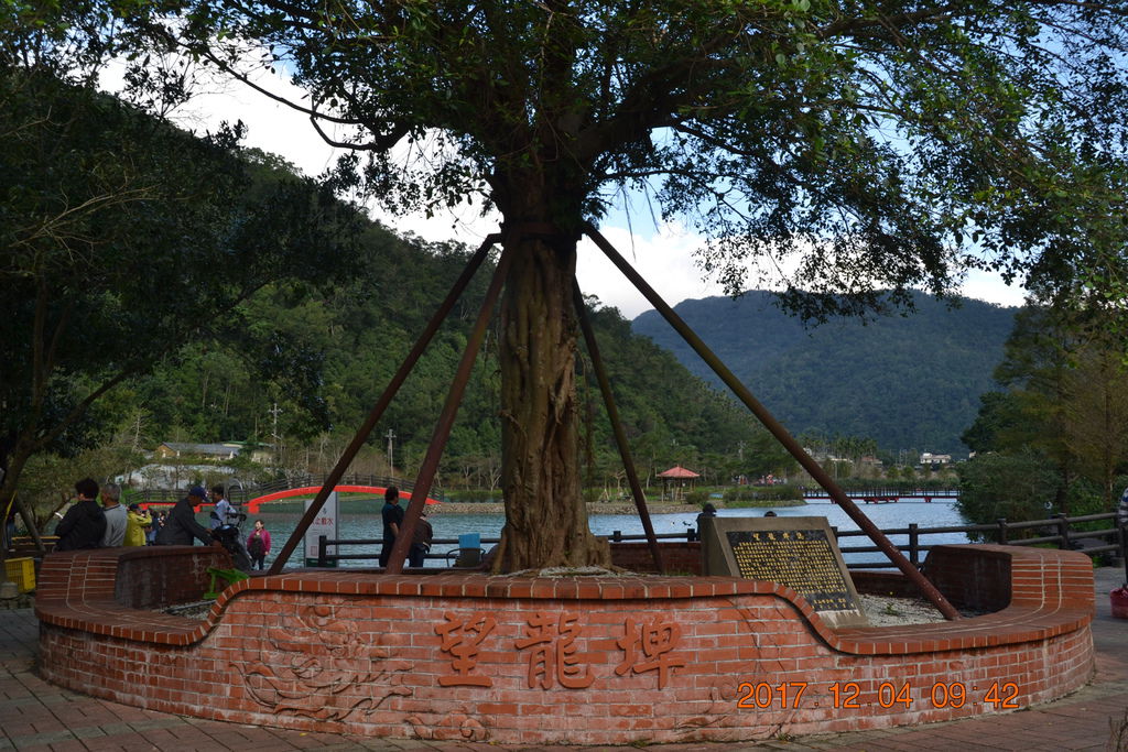 DSC_0370 DSC_0370