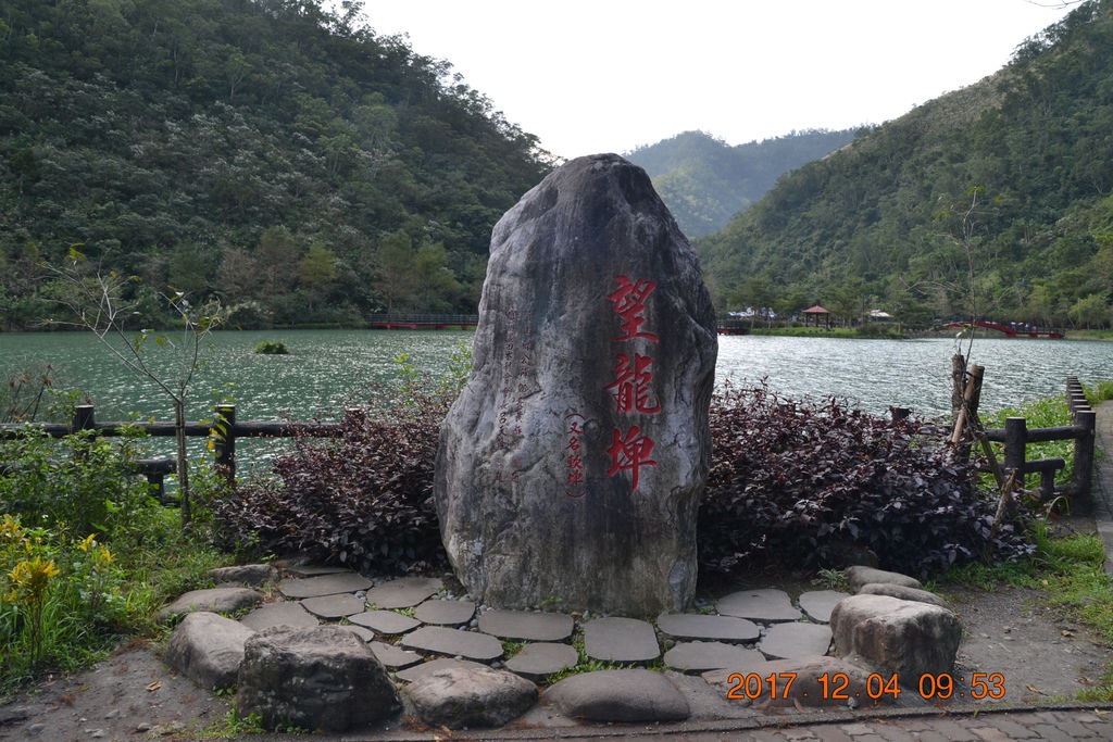DSC_0377 DSC_0377