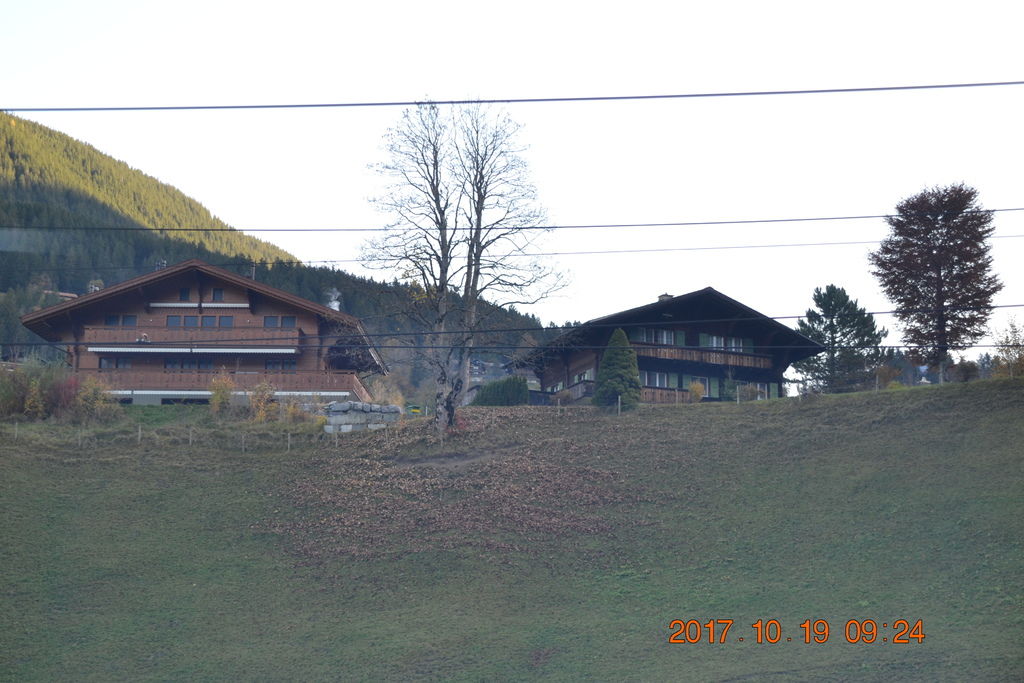 DSC_0075 DSC_0075