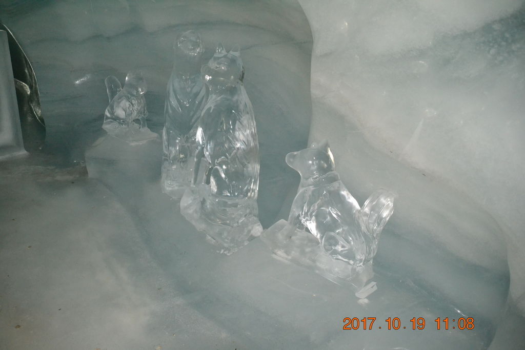 DSC_0224 DSC_0224