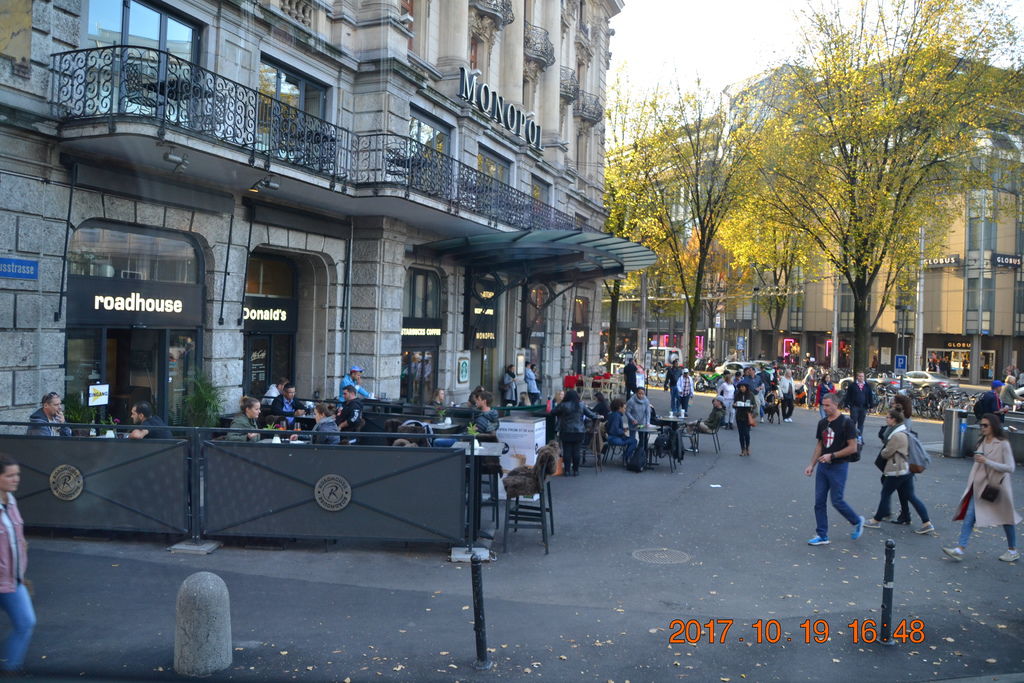DSC_0390 DSC_0390