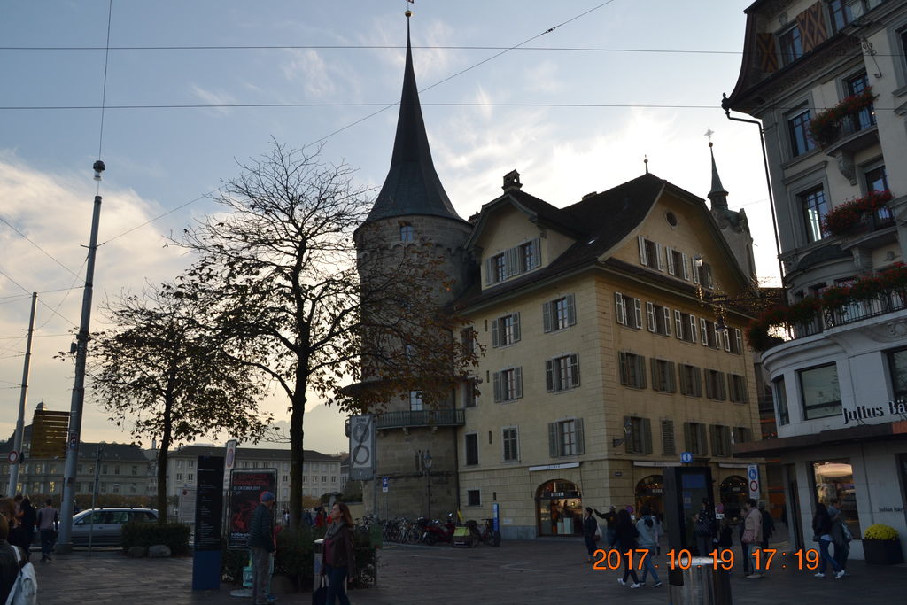 DSC_0393 DSC_0393