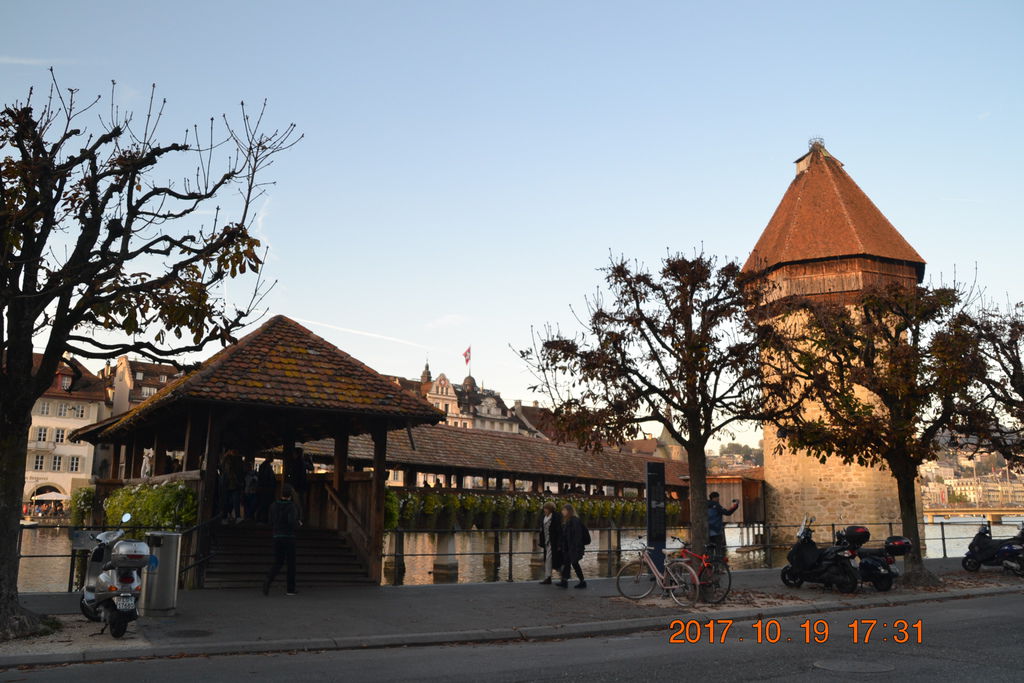 DSC_0413 DSC_0413