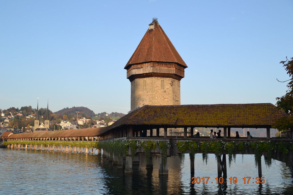 DSC_0415 DSC_0415