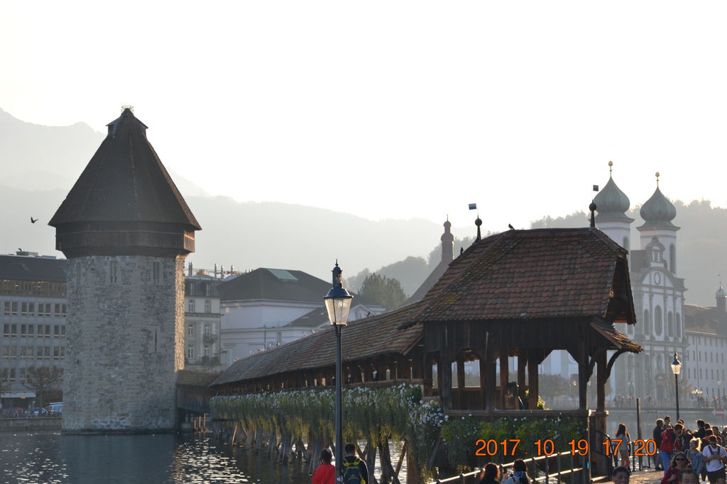 DSC_0394 DSC_0394