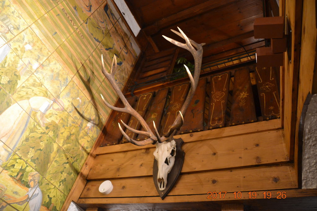 DSC_0453 DSC_0453