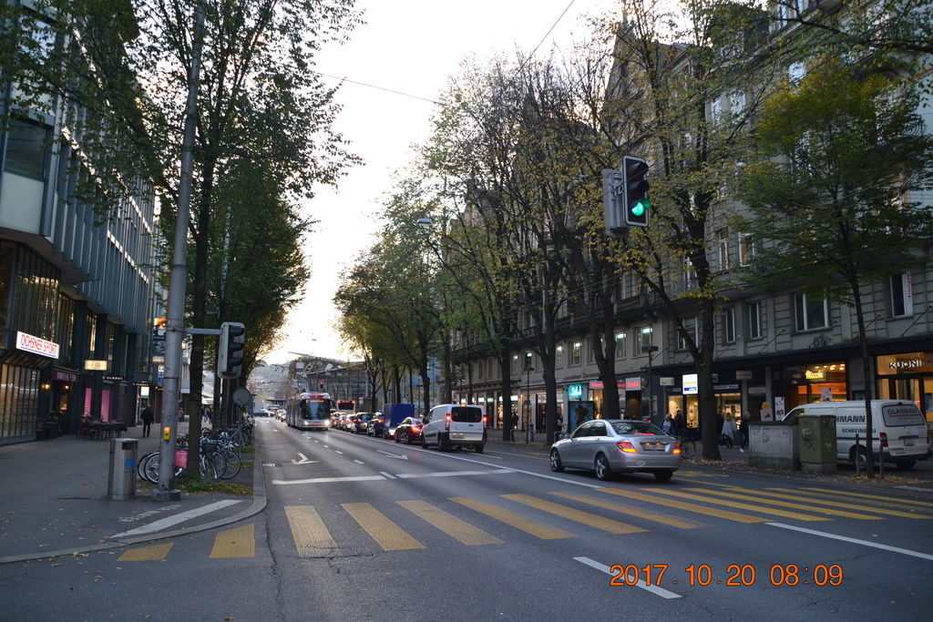 DSC_0484 DSC_0484