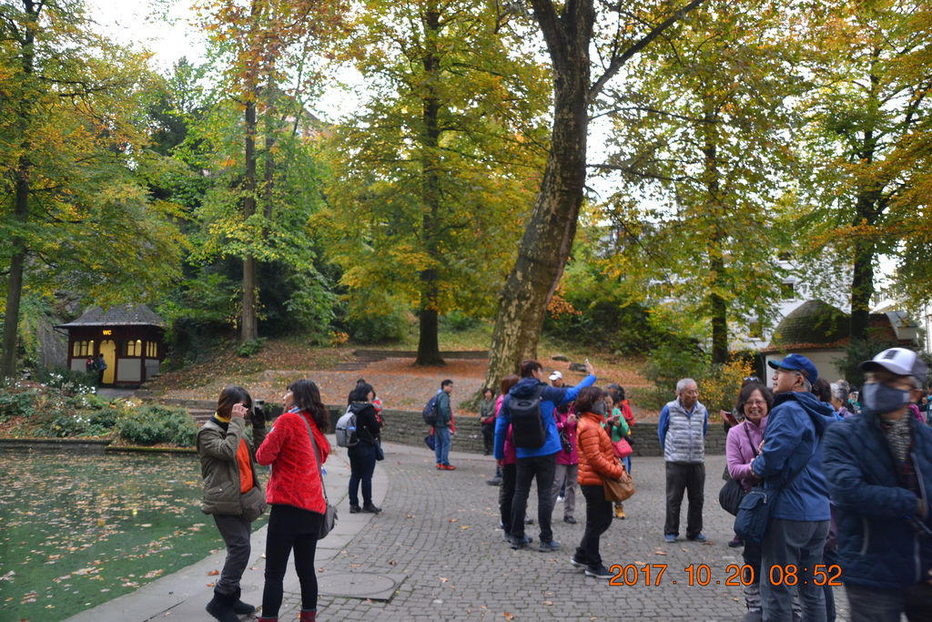 DSC_0513 DSC_0513