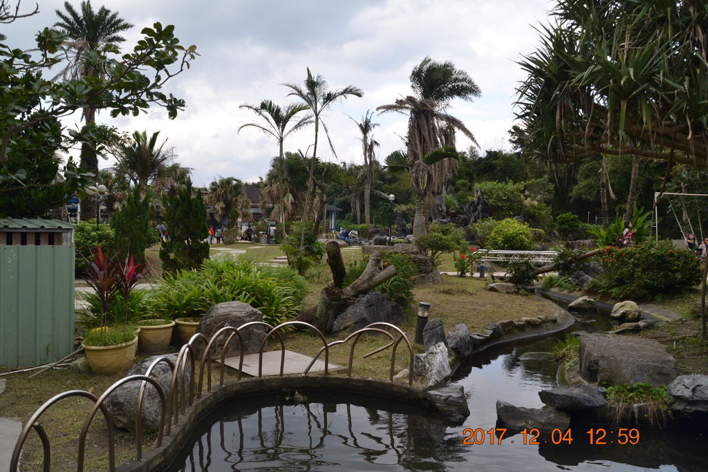DSC_0437 DSC_0437