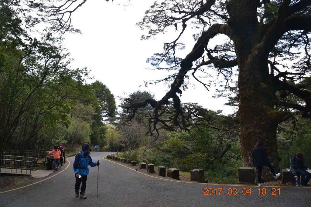 DSC_0078 DSC_0078