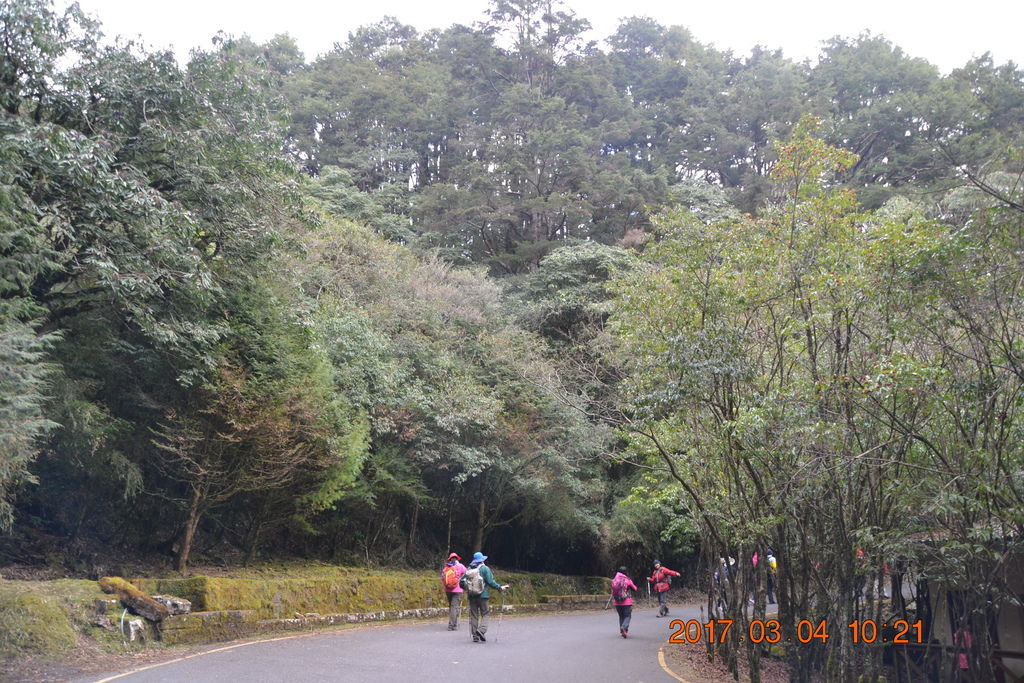 DSC_0077 DSC_0077