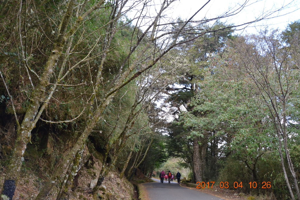 DSC_0082 DSC_0082