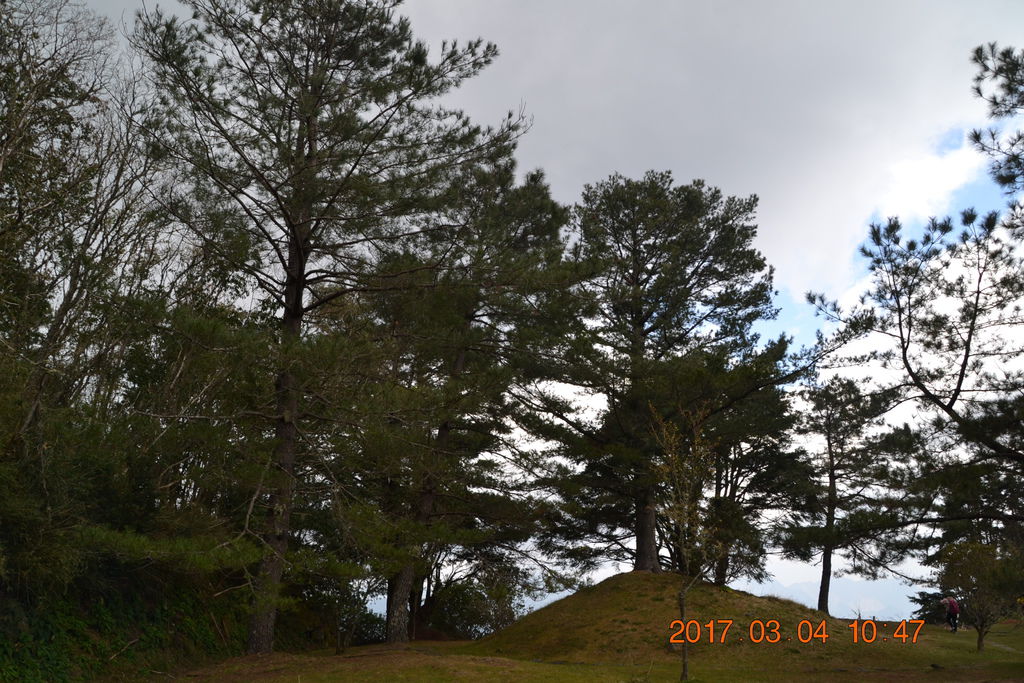 DSC_0101 DSC_0101