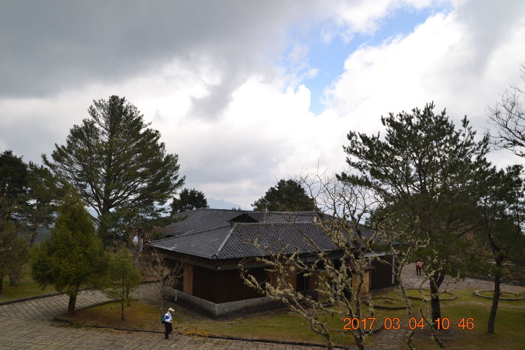DSC_0099 DSC_0099