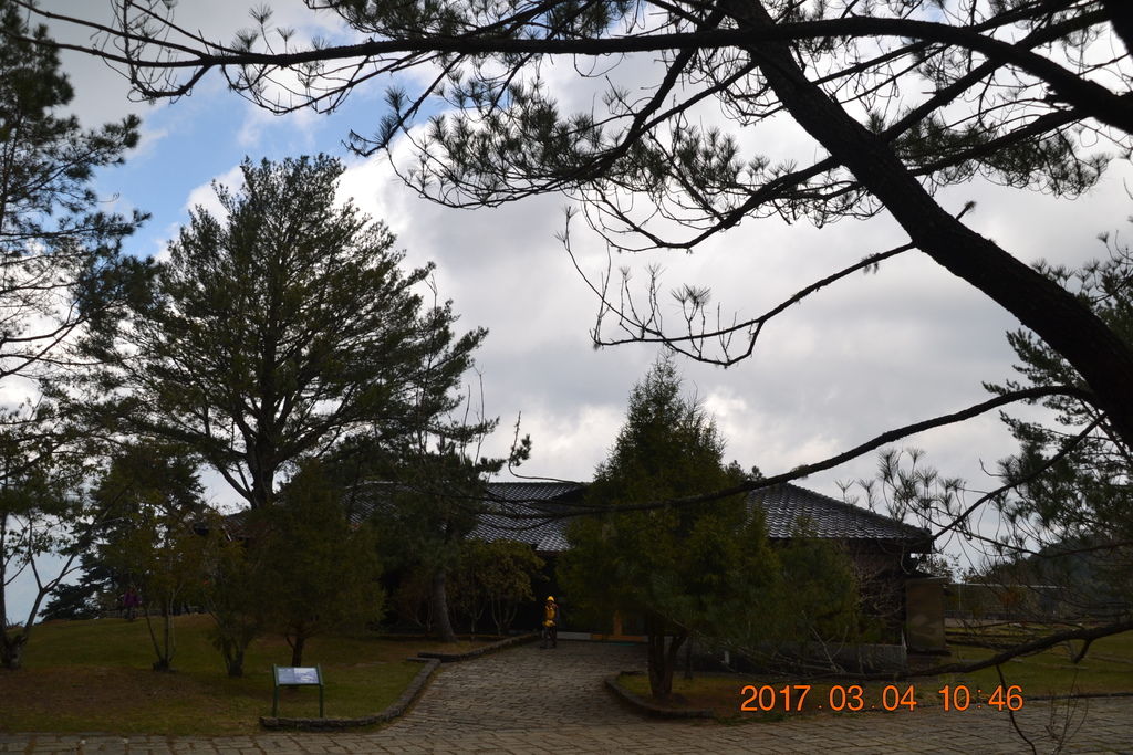 DSC_0100 DSC_0100