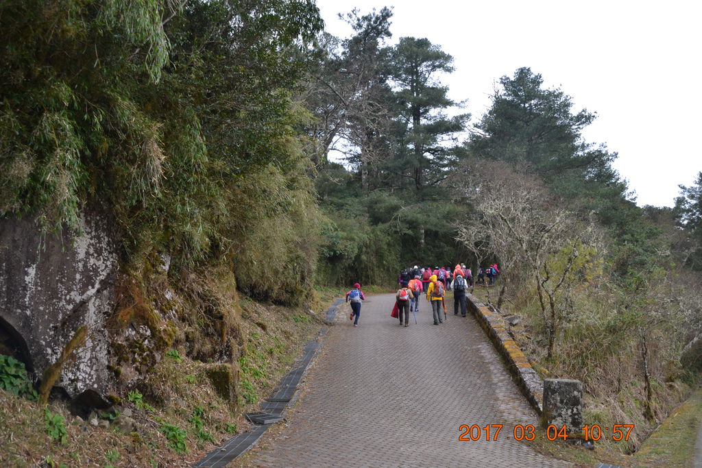 DSC_0130 DSC_0130
