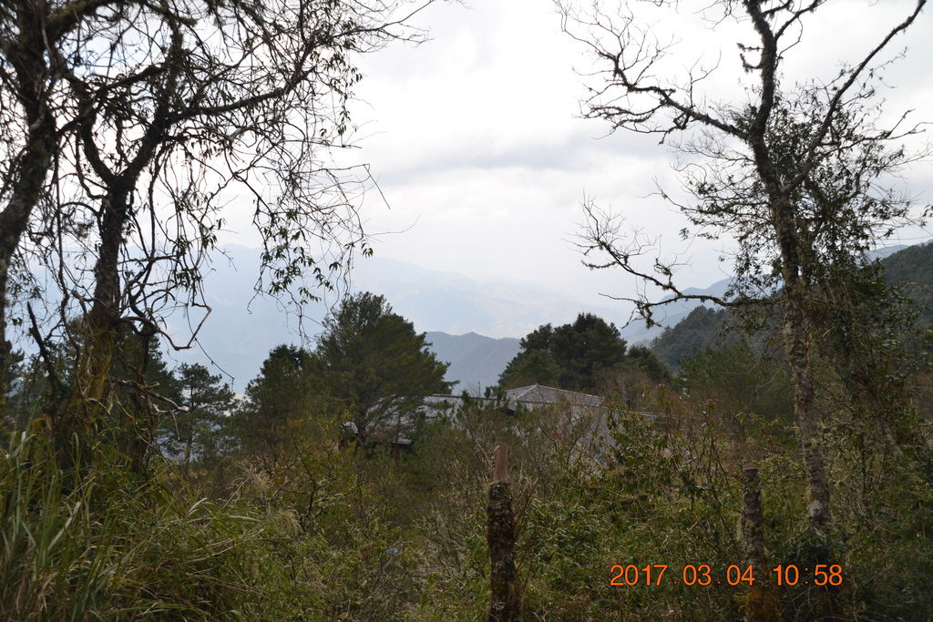DSC_0132 DSC_0132
