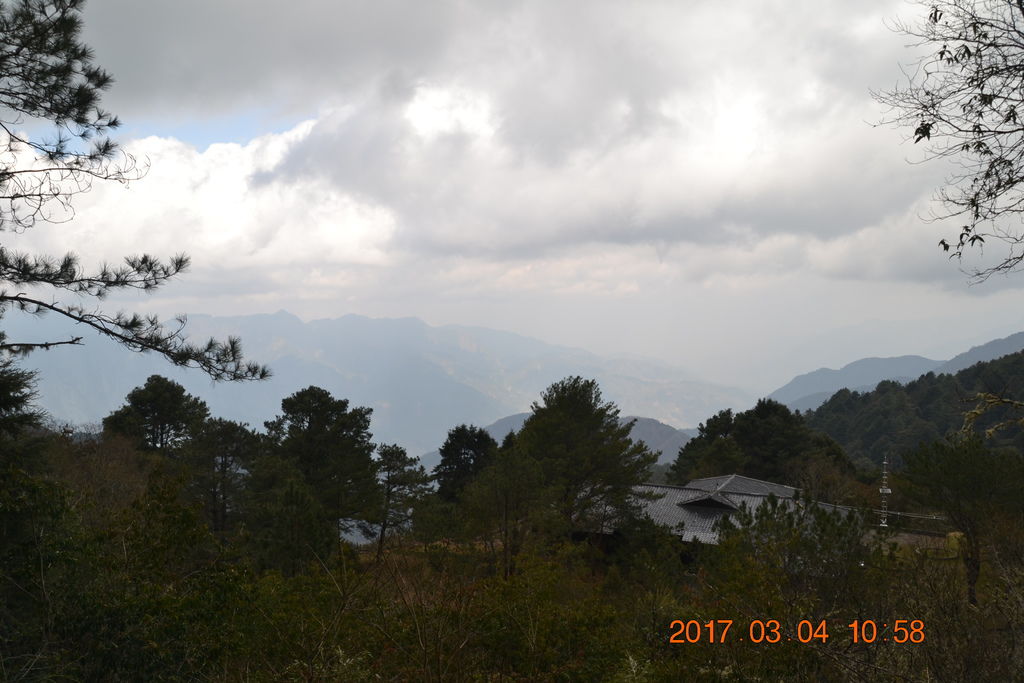 DSC_0133 DSC_0133
