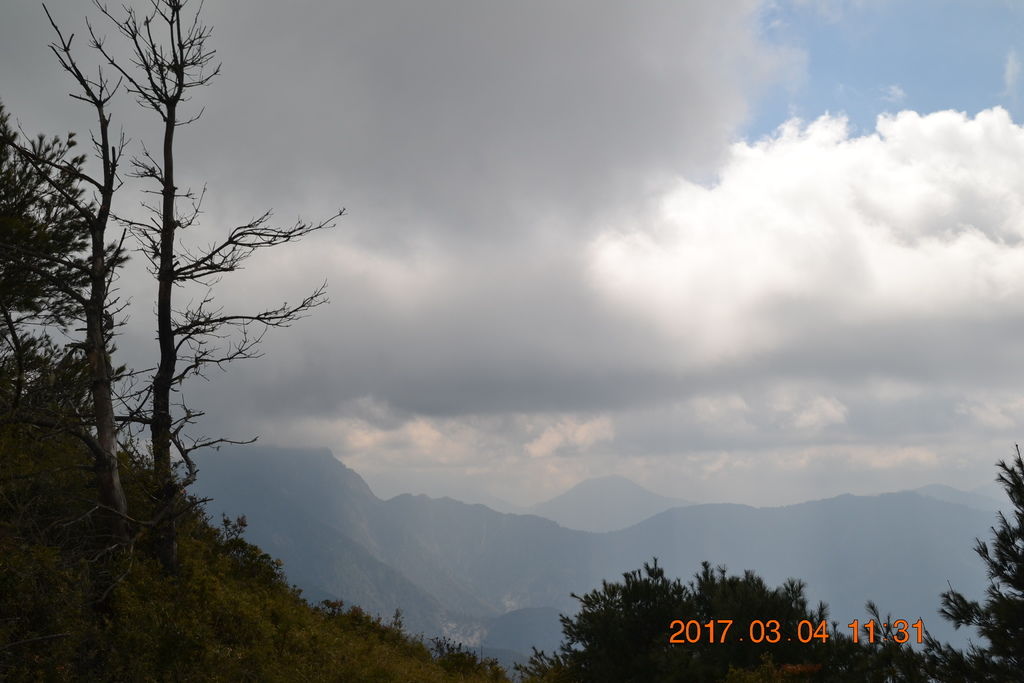 DSC_0161 DSC_0161
