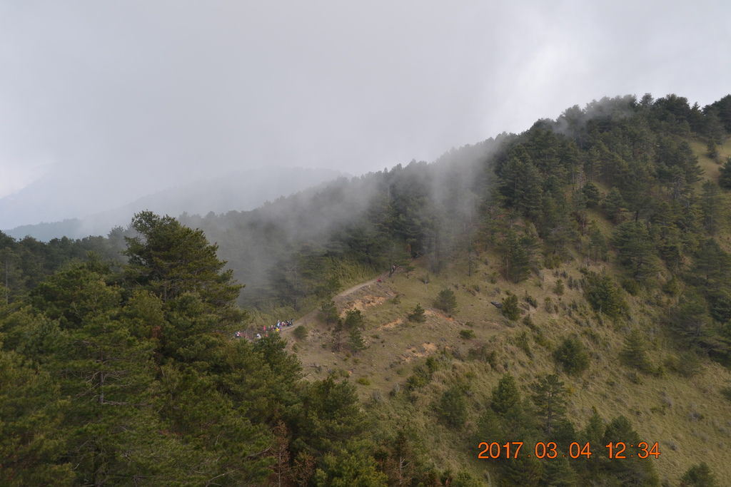 DSC_0244 DSC_0244