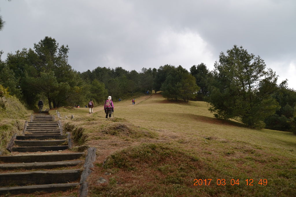 DSC_0254 DSC_0254