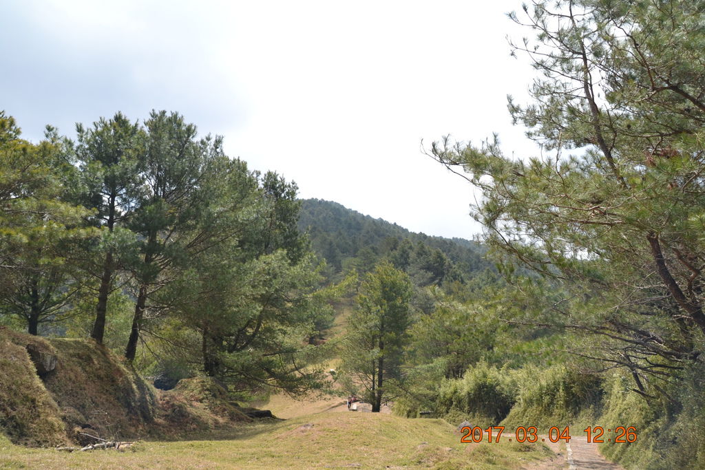 DSC_0239 DSC_0239