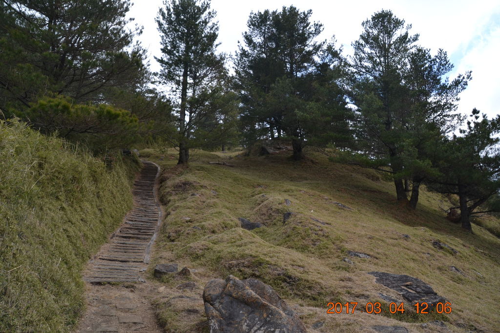 DSC_0229 DSC_0229