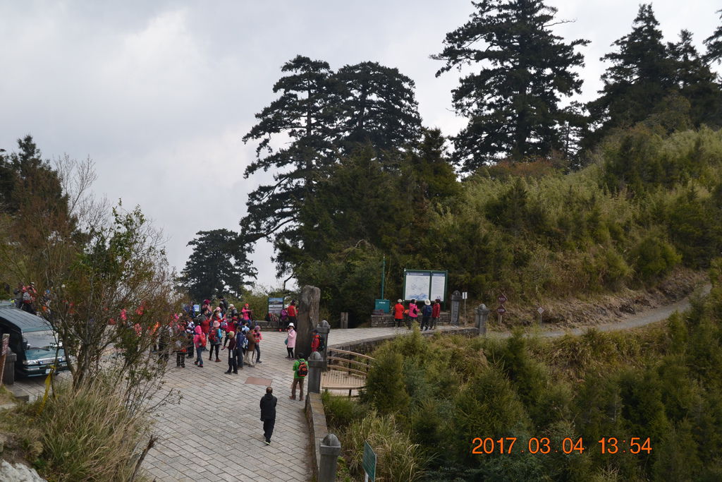 DSC_0324 DSC_0324