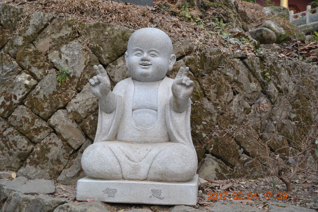 DSC_0391 DSC_0391