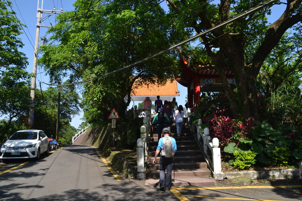 DSC_0165 DSC_0165
