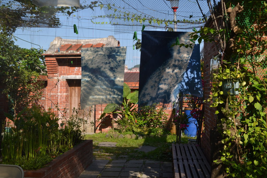 DSC_0231 DSC_0231