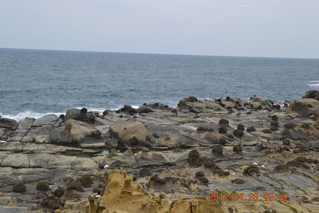 DSC_0159 DSC_0159