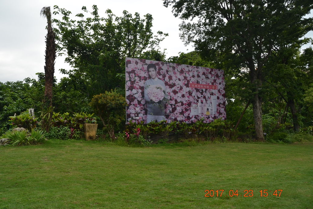 DSC_0251 DSC_0251
