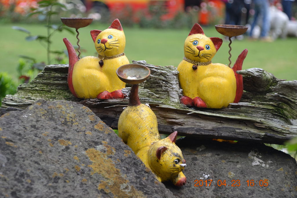 DSC_0288 DSC_0288
