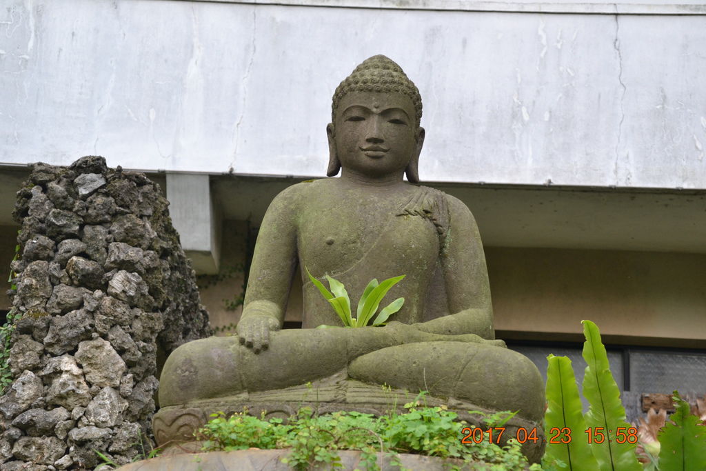 DSC_0272 DSC_0272