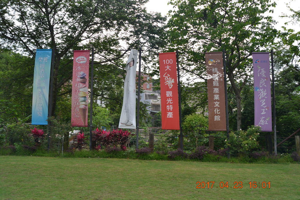 DSC_0277 DSC_0277