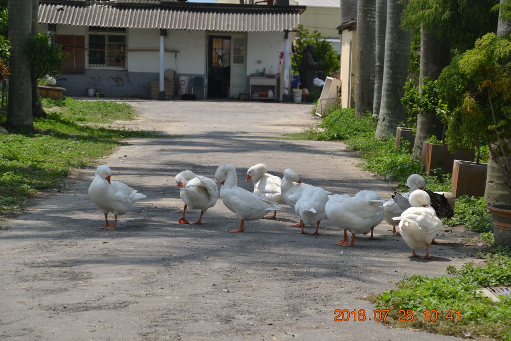 DSC_0055 DSC_0055