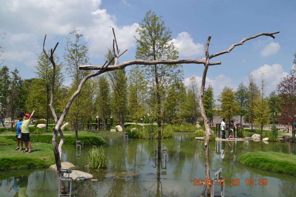 DSC_0048 DSC_0048