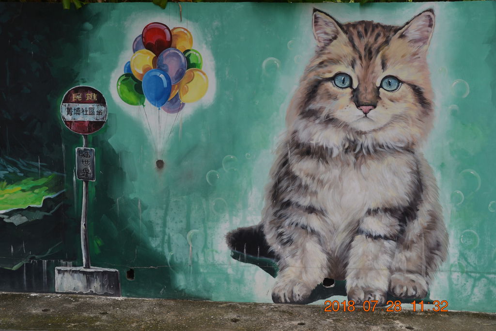 DSC_0097 DSC_0097