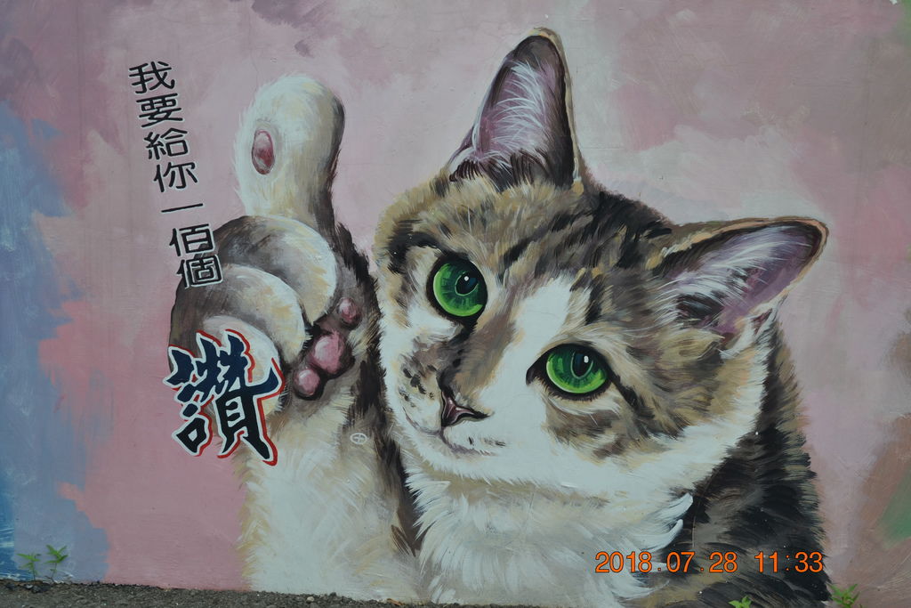DSC_0103 DSC_0103