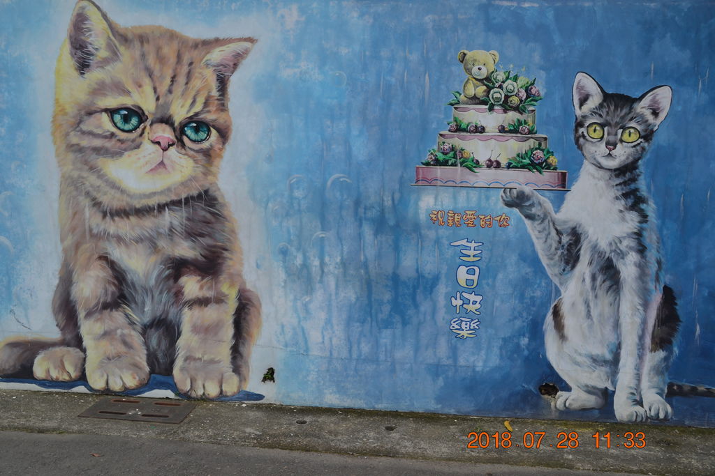 DSC_0100 DSC_0100