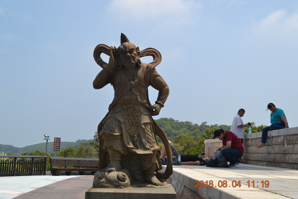 DSC_0768 DSC_0768