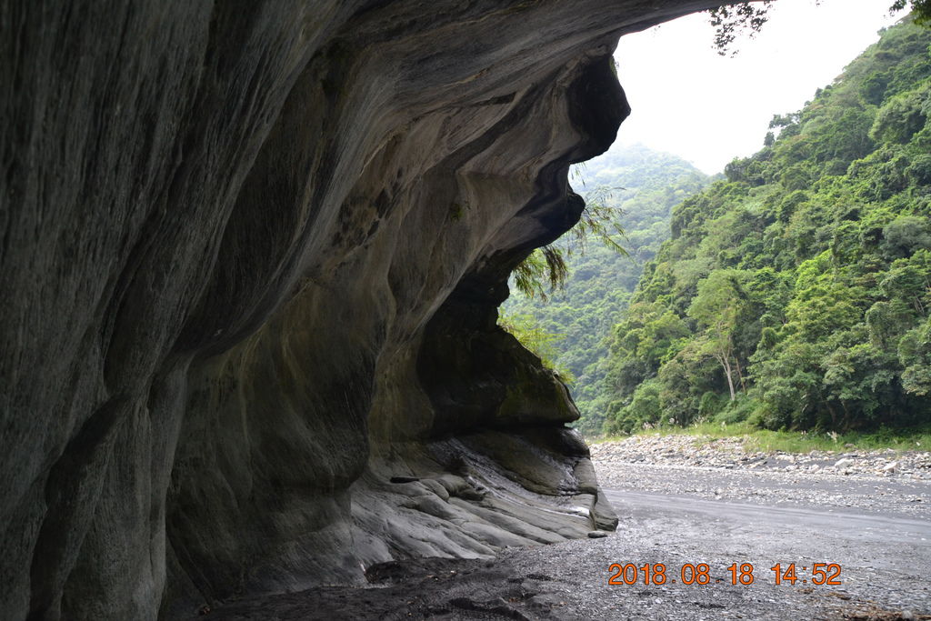 DSC_0208 DSC_0208