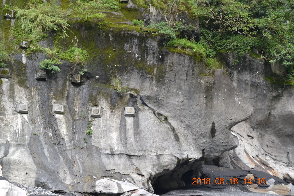 DSC_0185 DSC_0185