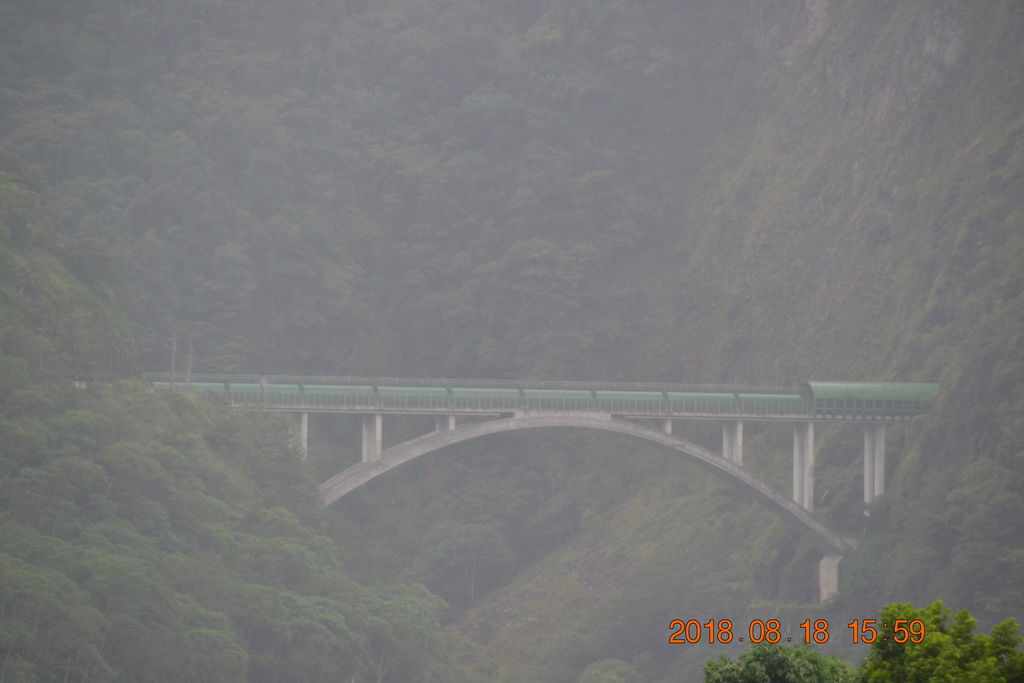 DSC_0222 DSC_0222