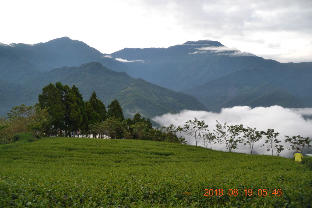 DSC_0291 DSC_0291