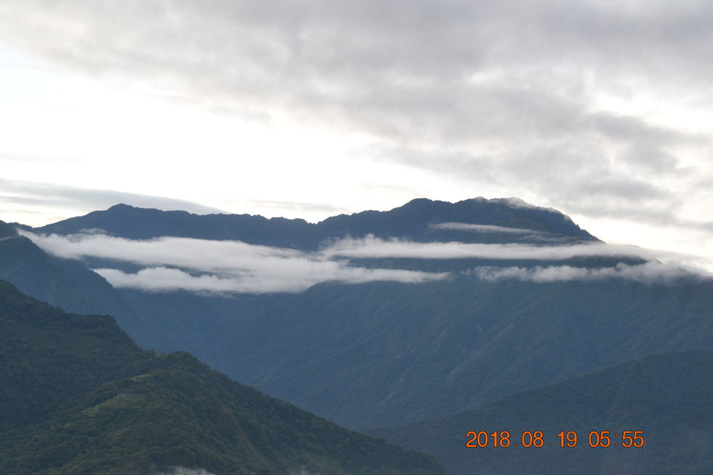 DSC_0312 DSC_0312