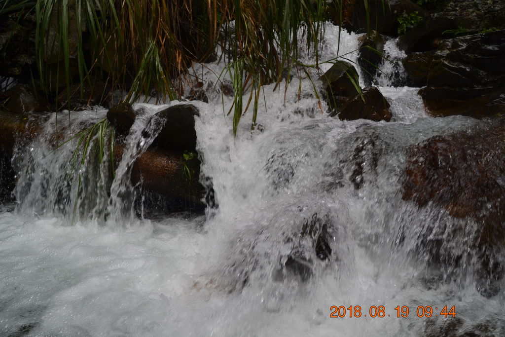 DSC_0394 DSC_0394